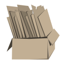 Large Image